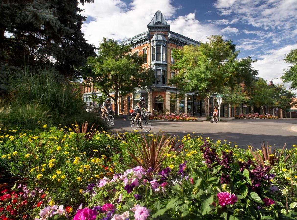 Lola House! Cozy Comfort, Prime Old Town Location Fort Collins Eksteriør bilde